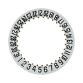 Sellita SW 240-1: 2557 Date Indicator
