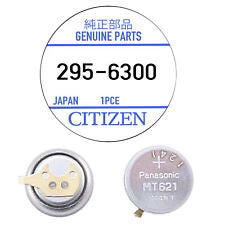 295-6300 / 295-6000 Citizen Capacitor