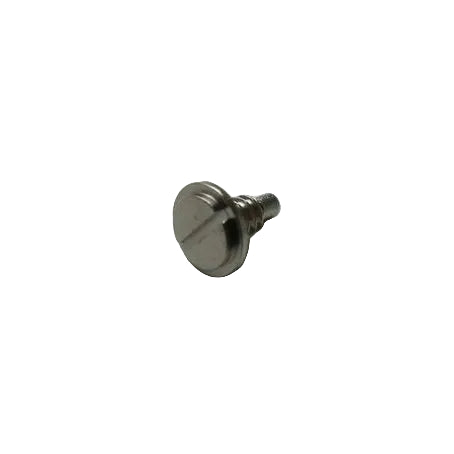 ETA 2879: 5462 Minute Work Cock Screw