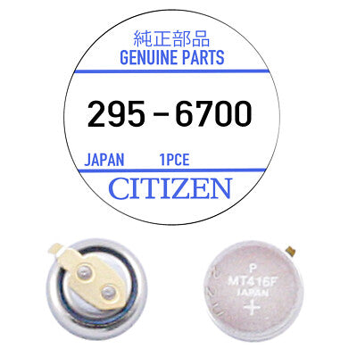 295-6700 Citizen Capacitor