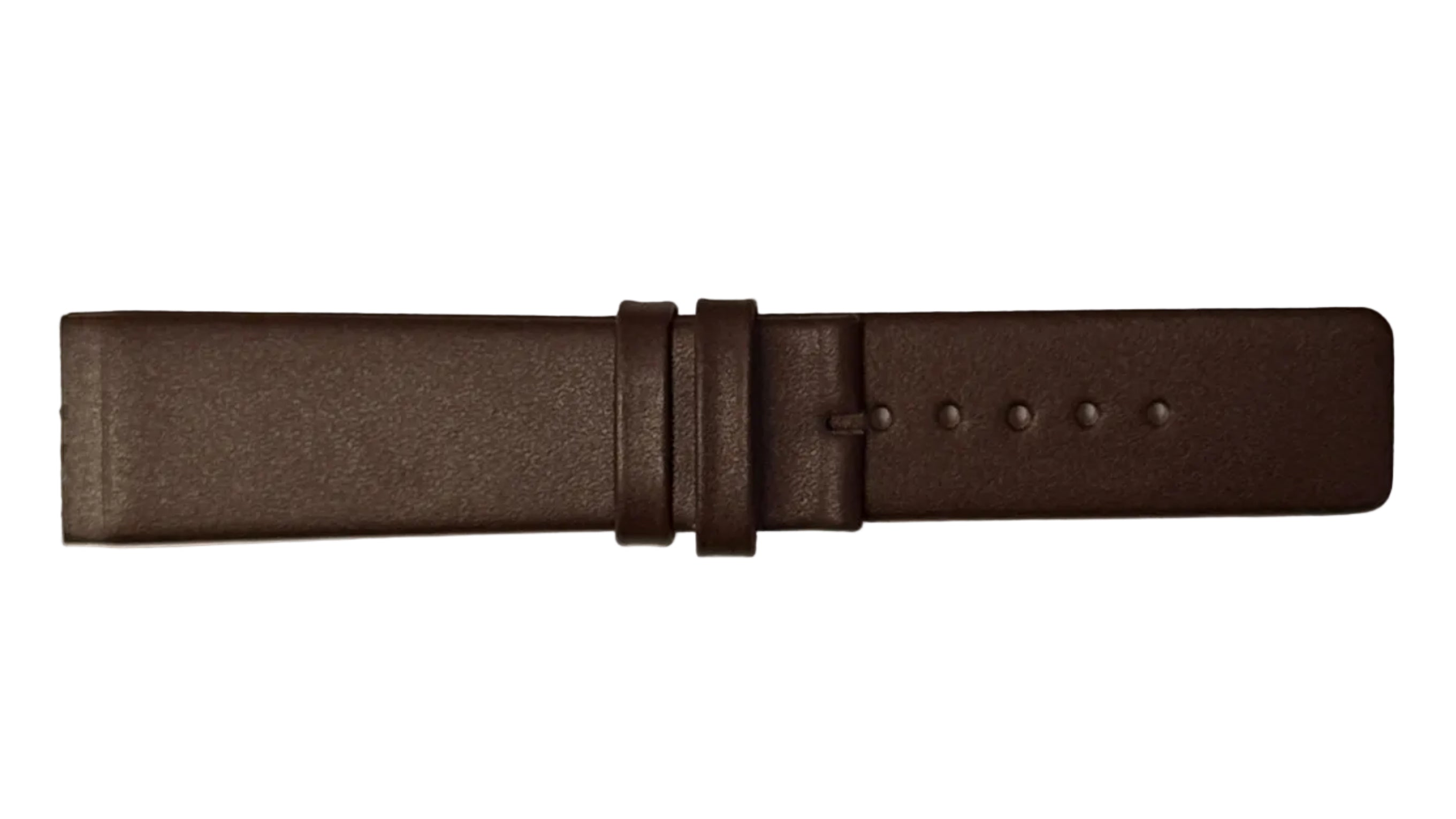 SWM Skagen Leather Band