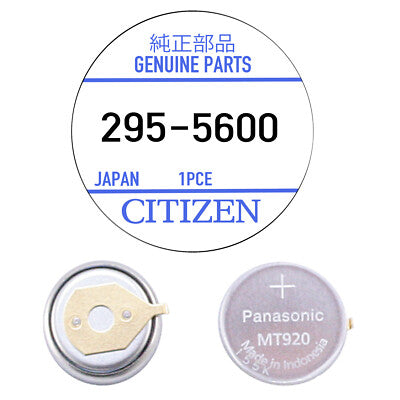 295-5600 Citizen Capacitor