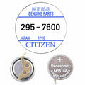 295-7600 / 295-6100 Citizen Capacitor