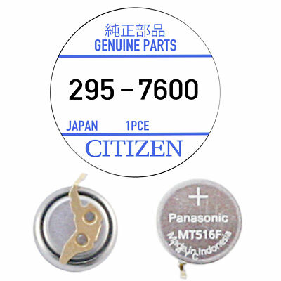 295-7600 / 295-6100 Citizen Capacitor